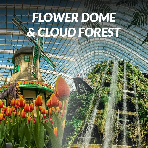 Flower Dome + Cloud Forest