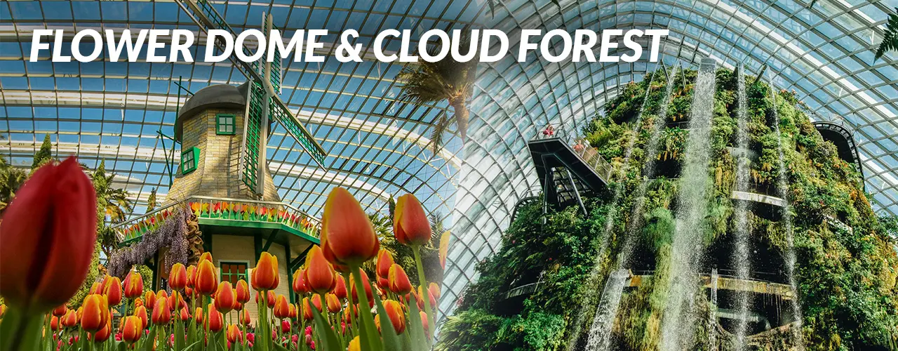 Flower Dome + Cloud Forest