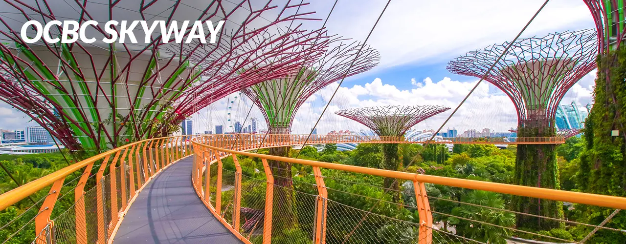 OCBC Skyway